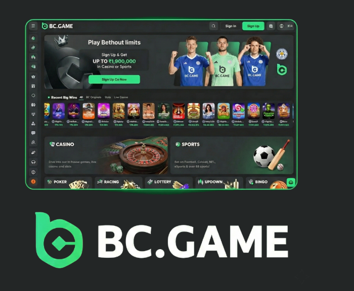 BC.Game Crypto Casino Revolutionizing Online Gaming in Argentina BC.Game Crypto Casino Revolutionizing Online Gaming in Argentina